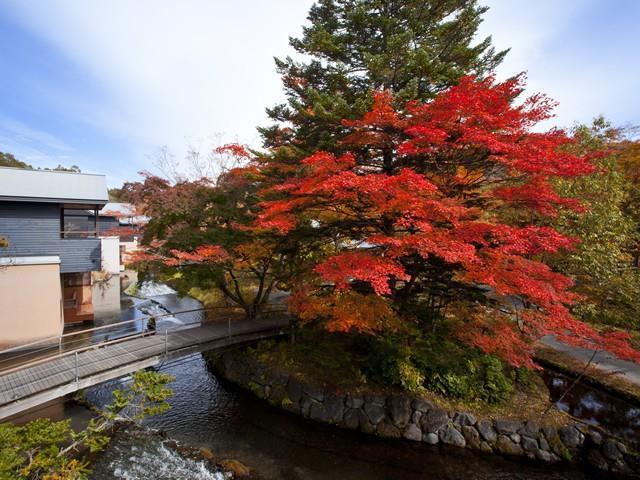 Hoshinoya Karuizawa Villa Facilități foto
